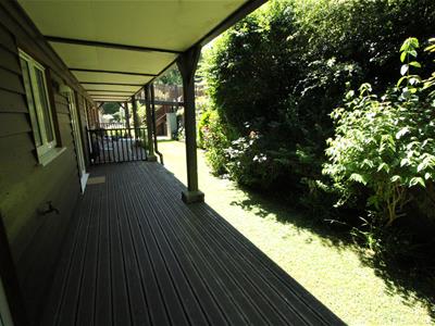 Picture 14